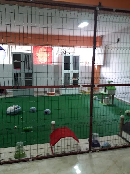 Eylül Veteriner Kliniği foto 2