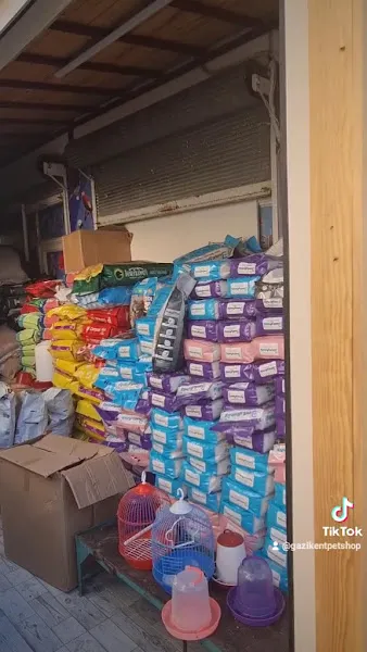 Gazikent Petshop foto 2