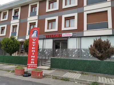 Aydınevler Veteriner Kliniği | Özel Veteriner - Maltepe, Küçükyalı, Aydınevler Veteriner
