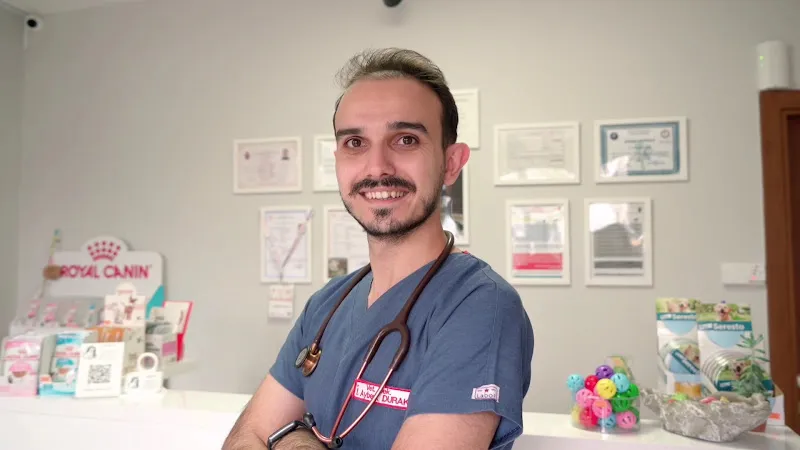 Aydınevler Veteriner Kliniği | Özel Veteriner - Maltepe, Küçükyalı, Aydınevler Veteriner foto 2
