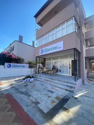 Yeşil Deniz Veteriner Kliniği