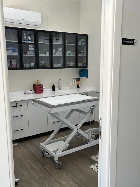 Riva Veteriner Kliniği foto 1