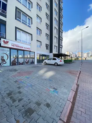 OSMANGAZİ VETERİNER KLİNİĞİ