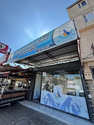 Yüreğir VetCat Veteriner Kliniği
