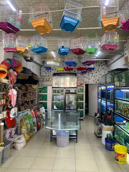 YabaDabaDuu Petshop foto 2