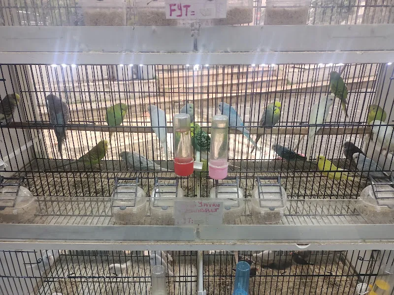 SELENAY PETSHOP foto 2