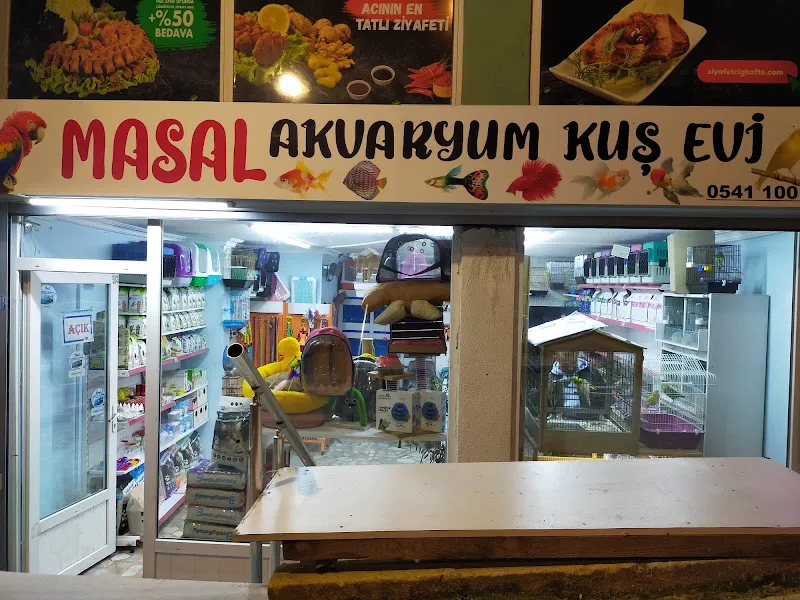Masal Akvaryum Kuş Evi foto 1