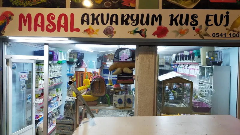 Masal Akvaryum Kuş Evi foto 2