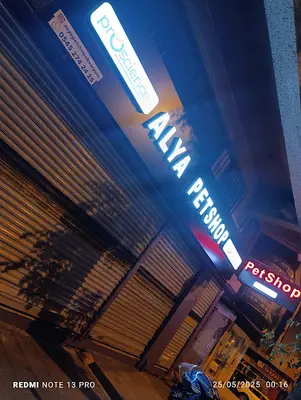 Alya Petshop Akvaryum Bahçelievler