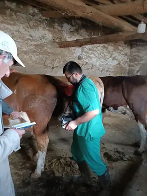 Karateke veteriner kliniği tarım hayvancılık sanayi ve ticaret limited şirketi
