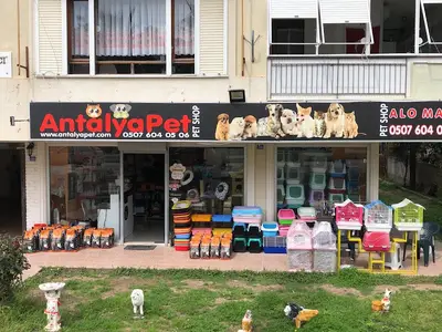 AntalyaPet Liman Şubesi