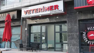 7/24 ACİL Bahçeşehir Veteriner Kliniği | Egzotik • Kuş