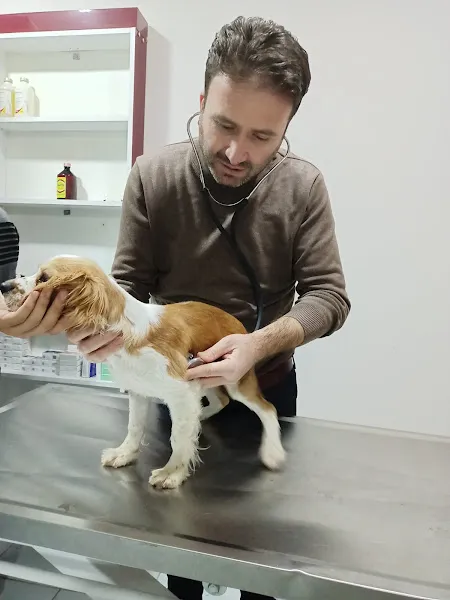 Karamik Veteriner Kliniği foto 1