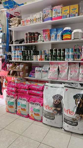 PırPır KUŞ HOUSE PETSHOP foto 2