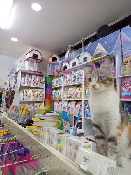 CAN DOSTLAR PET SHOP foto 2