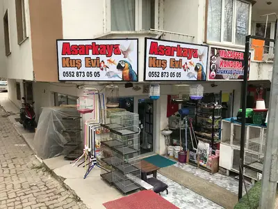 Asarkaya Petshop Kuşevi