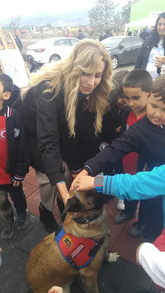 Bolu Belediyesi Veteriner İşleri Müdürlüğü foto 2