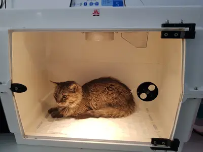 Happypets Veteriner Kliniği