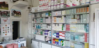 Özkan Veteriner Kliniği