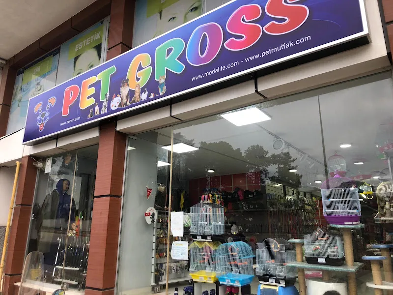 sinop pet gross foto 1