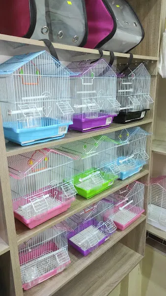 Pati pet shop foto 2