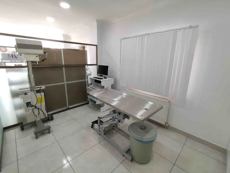 CEM VETERİNER KLİNİĞİ foto 1