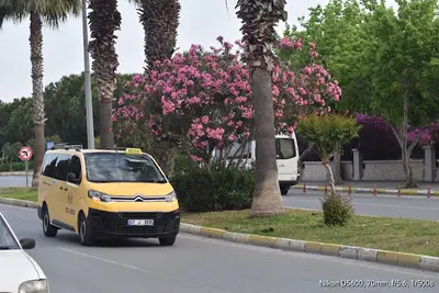 Sorgun Taksi