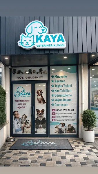 Kaya veteriner kliniği foto 1