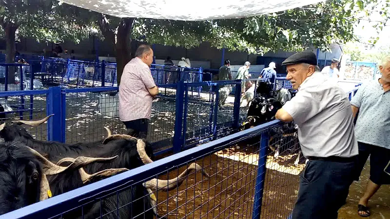 Bayır Belediyesi Hayvan Pazarı foto 2