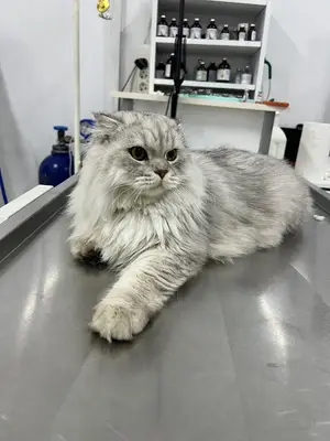 Ümit Veteriner fotoğrafı
