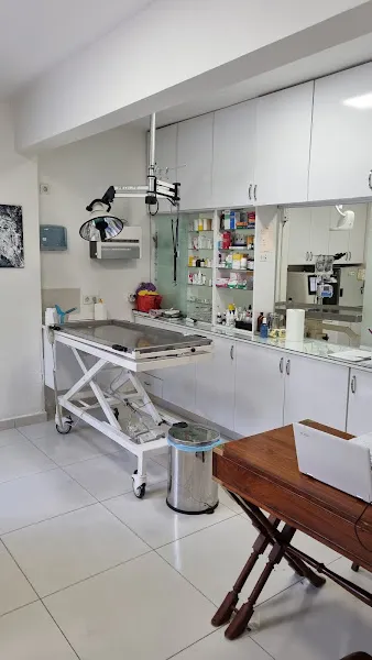 Benek Veteriner Kliniği foto 2