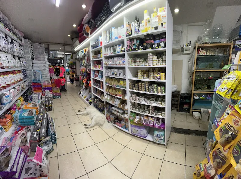 Turkuaz Pet Shop Levent foto 2