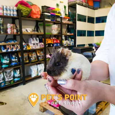 Pets point petshop Kuşadası