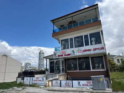PetMode - Kedi ve Köpek Çiftliği Ankara Satış Merkezi
