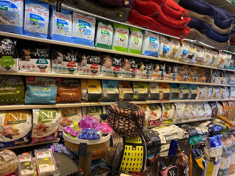 PetMode - Kedi ve Köpek Çiftliği Ankara Satış Merkezi foto 2