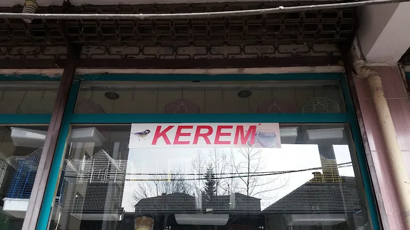 Kerem Akvaryum Petshop Kus Balik Galerisi foto 1