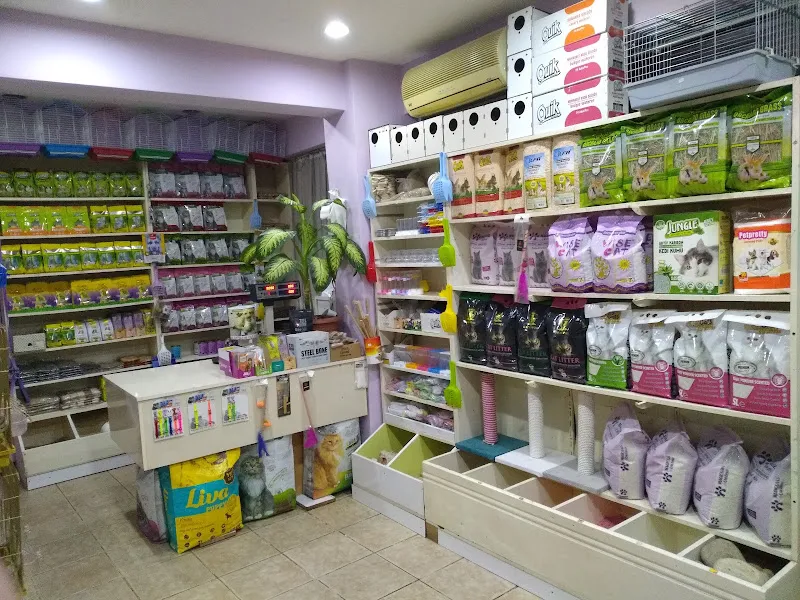 Kerem Akvaryum Petshop Kus Balik Galerisi foto 2