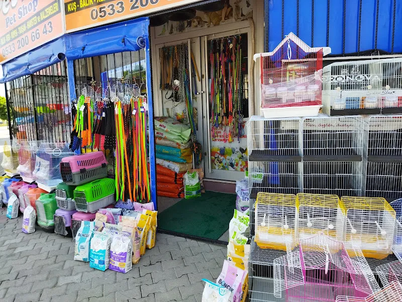 Petshop petlove menemen foto 2