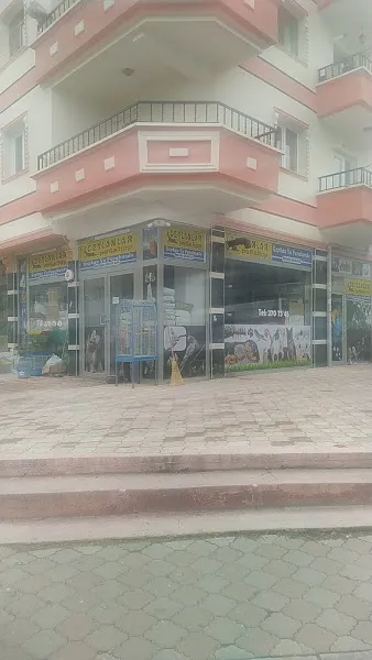 CEYLANLAR PETSHOP TOPTAN foto 1