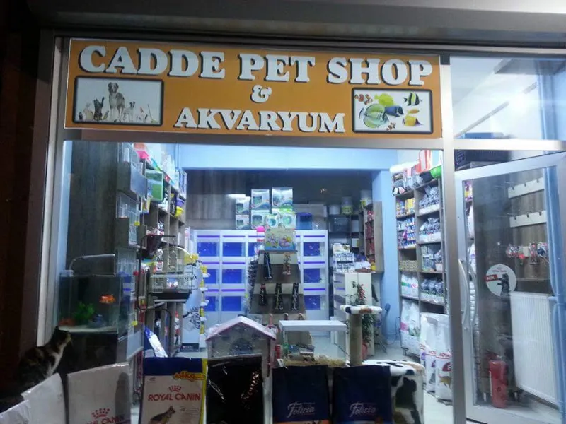 Cadde Petshop & Akvaryum foto 2