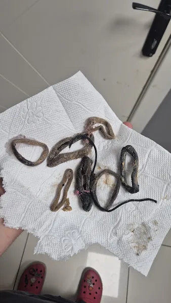 Hayat Veteriner Kliniği foto 2