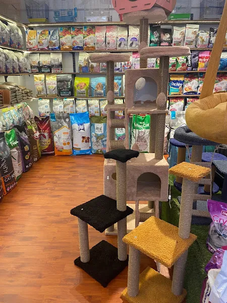 Sinop mavi petshop foto 2