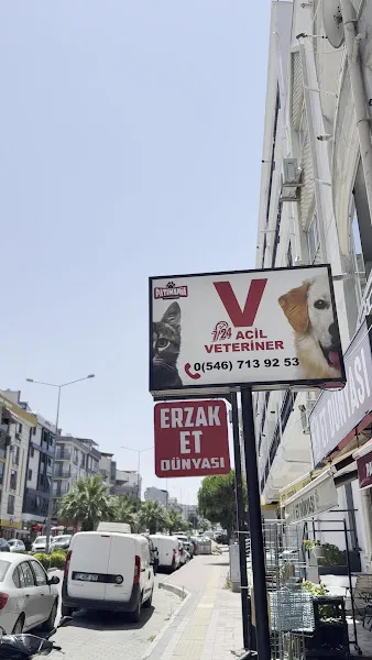 KEPEZ ACİL VETERİNER 7/24 (Patimania Veteriner Kliniği) foto 2