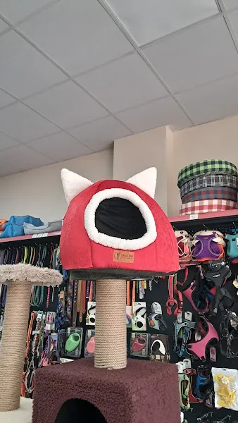 Patili Petshop Çankaya foto 2