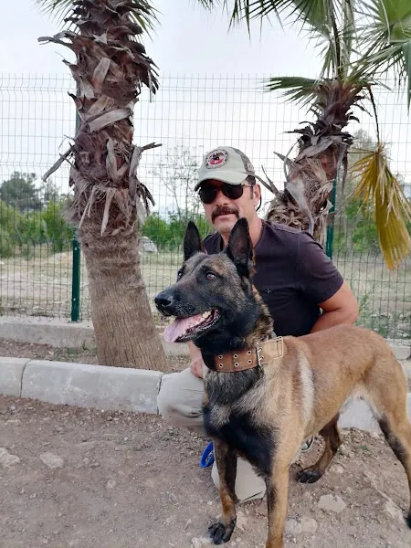 Büyük Aile Çiftliği foto 2