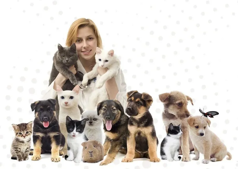 En Pet Shop Mamak Şube foto 2