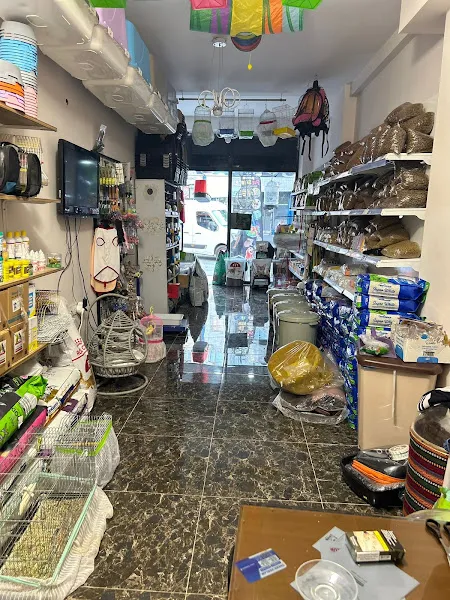 Kuzey Pet Shop Kazım Karabekir mahallesi 1045 sokak no 78/b Esenler/İSTANBUL foto 2