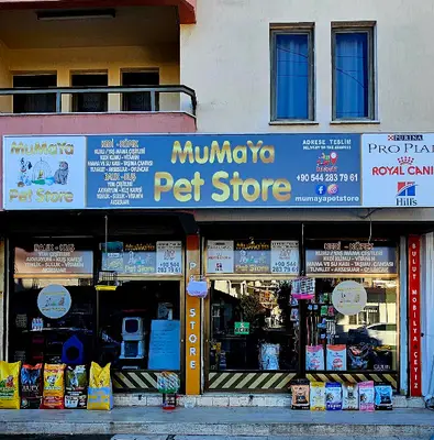 Mumaya Pet Store