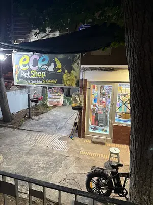 ece petshop fotoğrafı