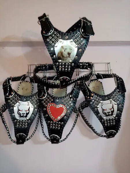 Gaziemir Petshop foto 2